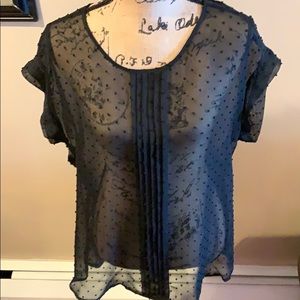NWT BLACK RAINN Sz Large Black Sheer Blouse